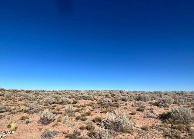 Property at TBD CR 7111, St. Johns, AZ 85936