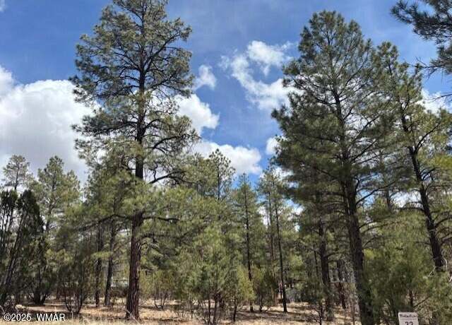Property at 3260 W Black Oak Loop Lot 28, Show Low, AZ 85901