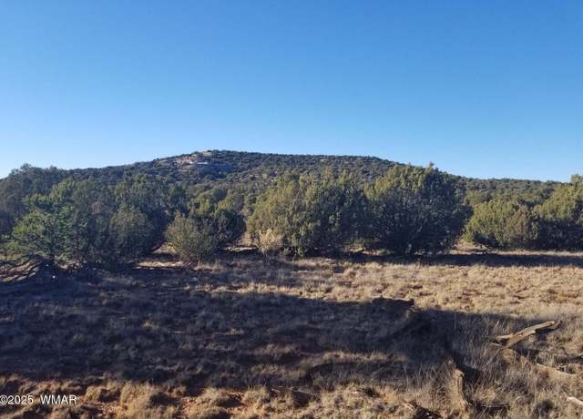 Property at Lot 35 CR 8281, Concho, AZ 85924