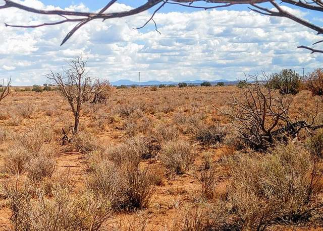 Property at 006S Willis Ranch Ln, Snowflake, AZ 85937