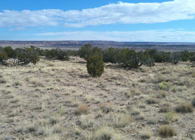 Property at TBD G-Bar Ranch 1, St. Johns, AZ 85936