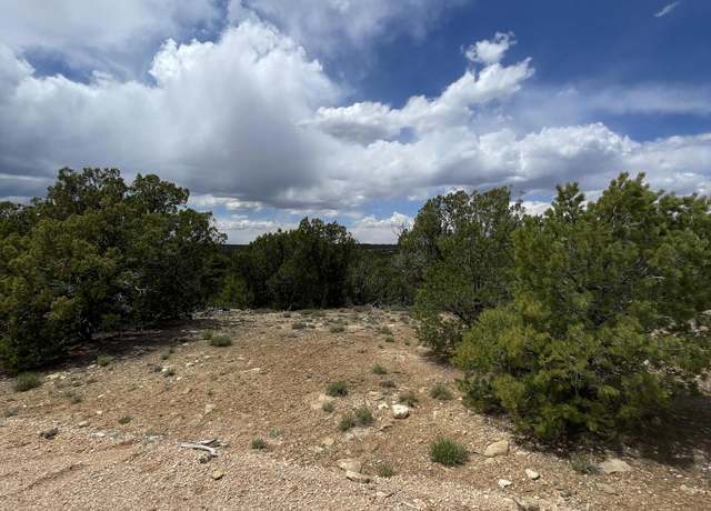 Property at 9 County Road 3045, Concho, AZ 85924