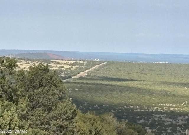 Property at 60 County Road 8140 Lot 15, Vernon, AZ 85940