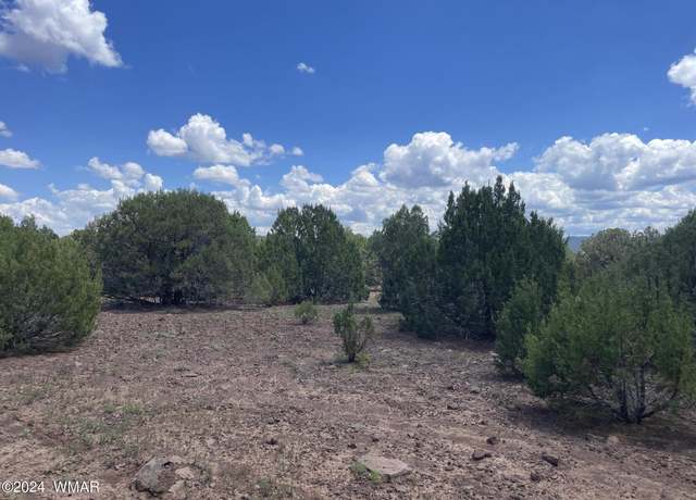 Property at 4 County Road 3331, Vernon, AZ 85940