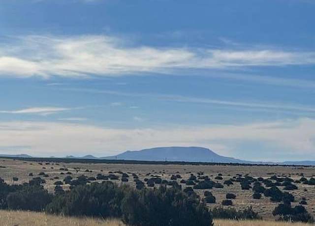 Property at TBD Elk Valley Ranches #77, St. Johns, AZ 85936