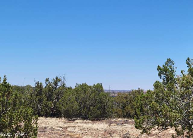 Property at 8442 Lake Ridge Rd, Show Low, AZ 85901