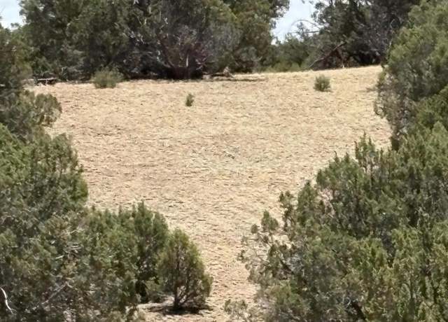 Property at 15D Lazy O Rd, Show Low, AZ 85901