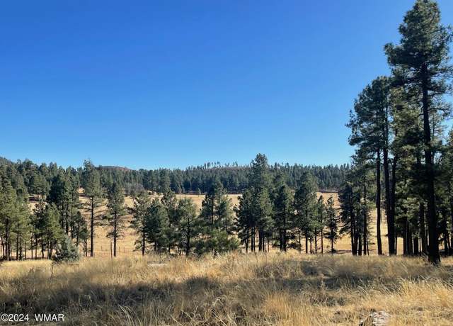 Property at Lot D County Road N2147, Alpine, AZ 85920