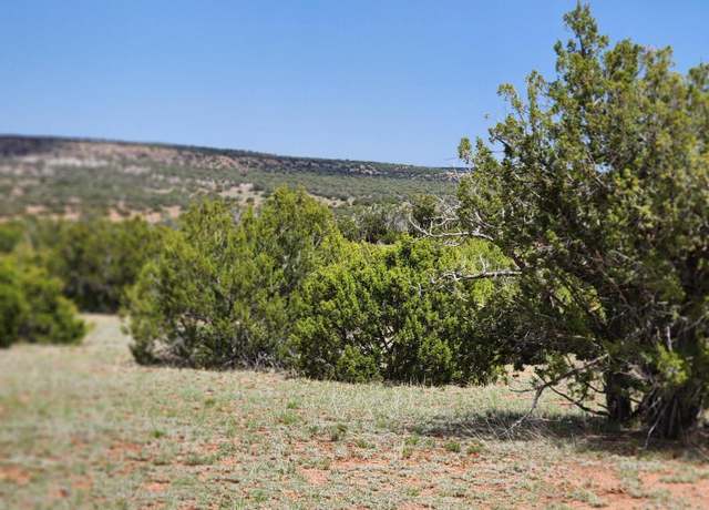 Property at 004B Raven, Show Low, AZ 85901