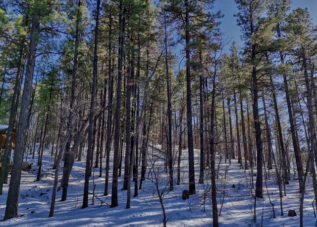 Property at 6319 Bent Oak Dr, Pinetop, AZ 85935