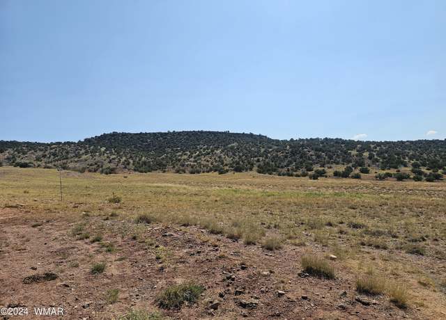 Property at TBD River Springs Rnch Lot 289, St. Johns, AZ 85936