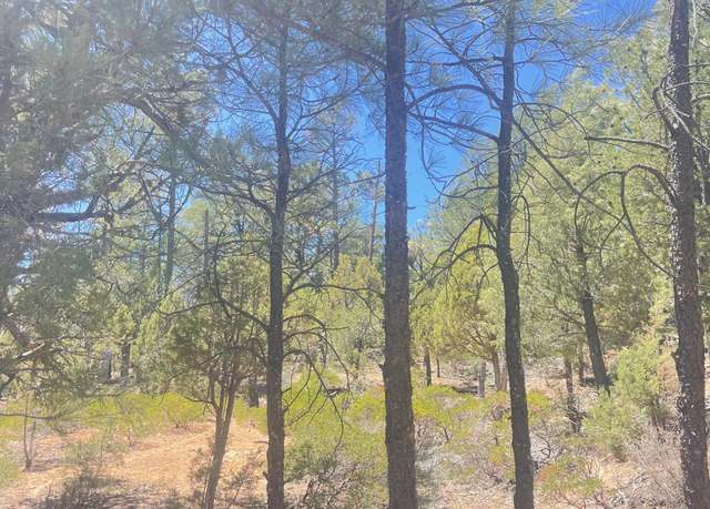 Property at 3860 S White Mountain Rd, Show Low, AZ 85901, 3 beds, 2 baths