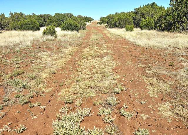 Property at 20 Co Rd #8068, Concho, AZ 85924