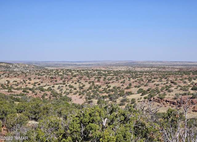 Property at TBD N6448, St. Johns, AZ 85936