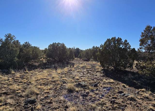 Property at 8716 Richard Rd, Show Low, AZ 85901