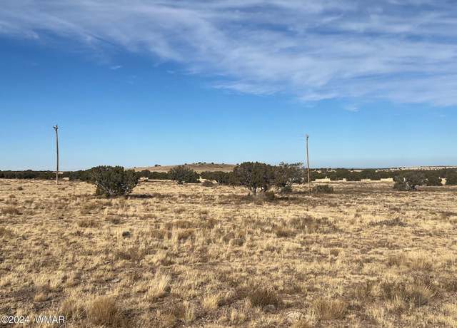 Property at TBD CR 5139, Concho, AZ 85924