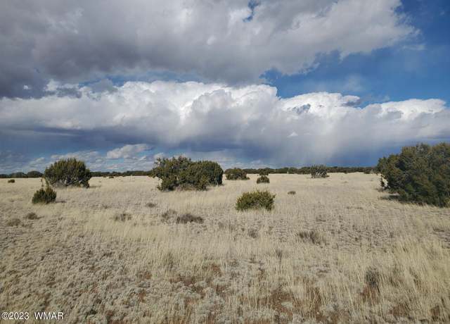 Property at TBD CR 5110, Concho, AZ 85924