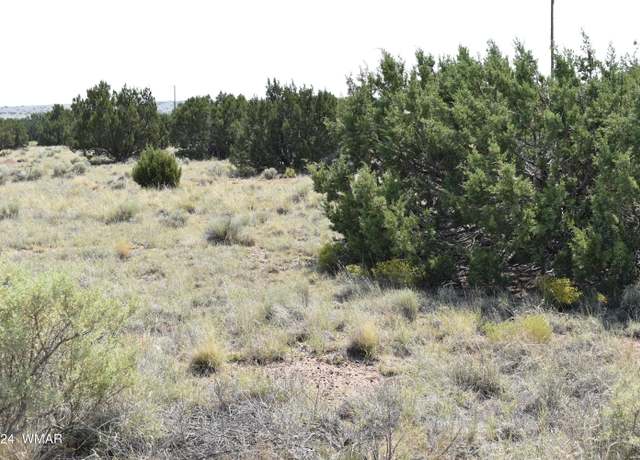 Property at 96 Alpine Ln, Concho, AZ 85924