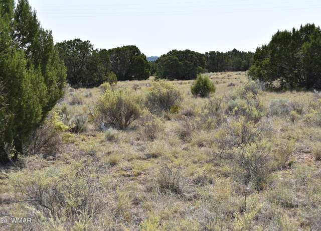 Property at 18 Crest Ln, Concho, AZ 85924