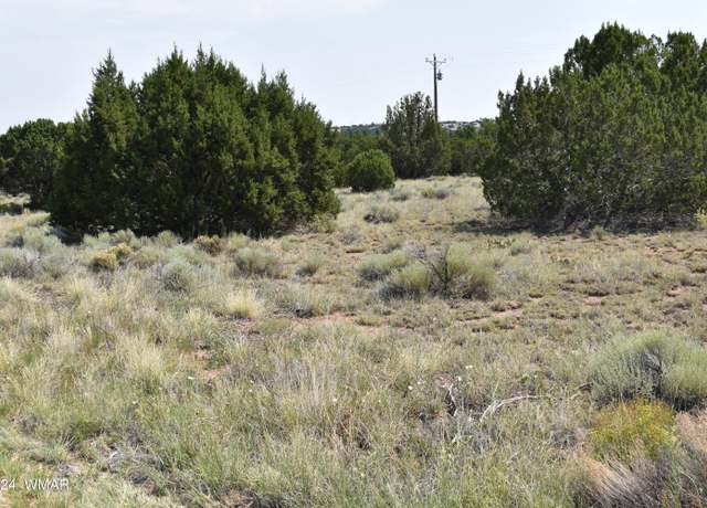 Property at 30 Dawn Ln, Concho, AZ 85924