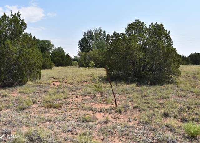 Property at 72 Dawn Ln, Concho, AZ 85924