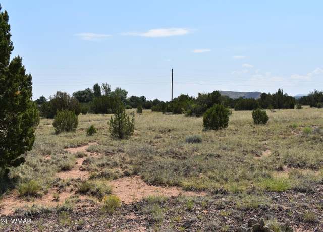 Property at 74 Evergreen Ln, Concho, AZ 85924