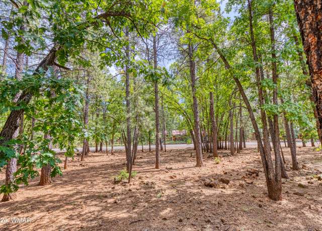 Property at 4063 Bridle Path Cir, Pinetop, AZ 85935