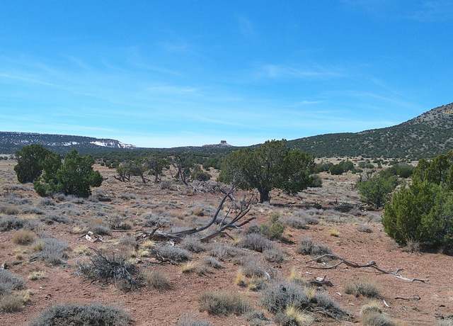 Property at TBD Windsor Valley Rnch, Concho, AZ 85924