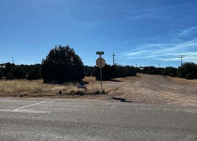 Property at 8419 Silver Creek Dr, Show Low, AZ 85901
