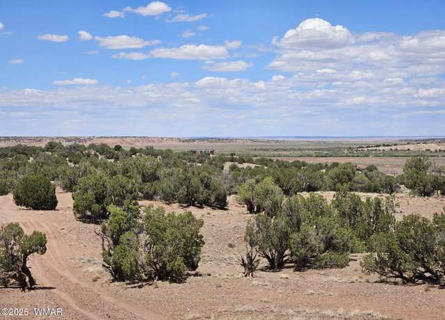Property at 27 N 9183, Concho, AZ 85924