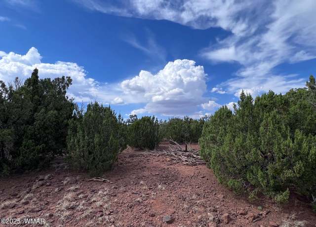 Property at 000 Antelope Rd, Show Low, AZ 85901