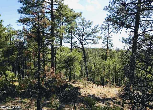 Property at 2281 S Bristlecone Dr, Show Low, AZ 85901