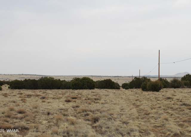 Property at 21 & 23 CR 8004, Concho, AZ 85924