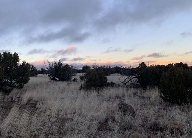 Property at Lot 1916 Lot 1916 Mills Lane Rd, Concho, AZ 85924