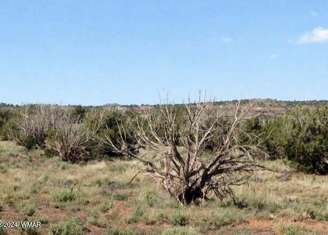Property at tbd 201-35-008B, Concho, AZ 85924