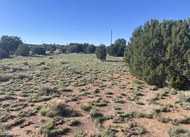 Property at 37 Frontage Rd, Concho, AZ 85924