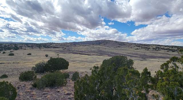Photo of TBD CR N5337, Concho, AZ 85924