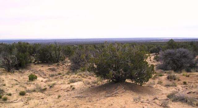 Photo of TBD CR 7411, St. Johns, AZ 85936