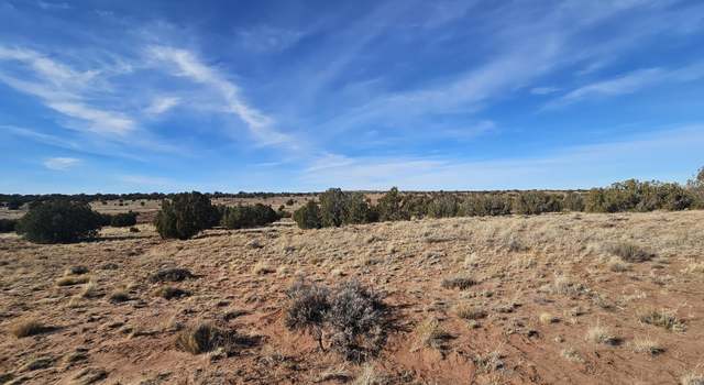 Photo of TBD Lot 236 N CR 9234, Concho, AZ 85924