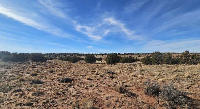 Photo of TBD Lot 236 N CR 9234, Concho, AZ 85924