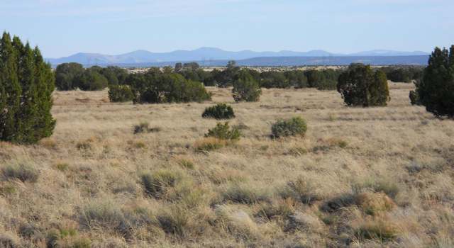 Photo of 19 County Rd, Concho, AZ 85924