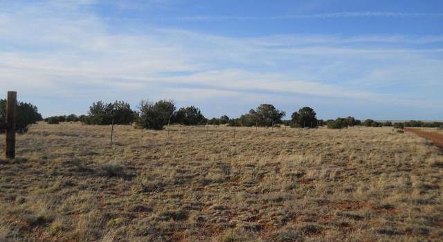Photo of 19 County Rd, Concho, AZ 85924