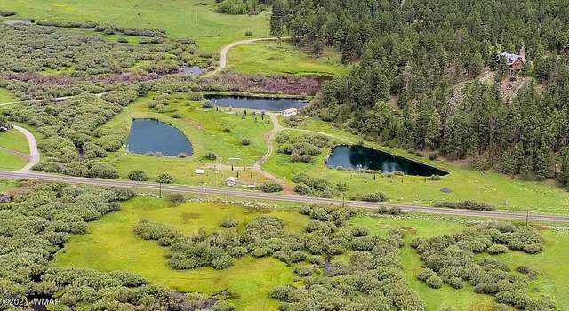 Photo of 373 Greer Meadows Lks, Greer, AZ 85927