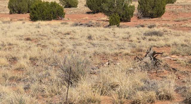 Photo of 4.02 Dewitt, Snowflake, AZ 85937