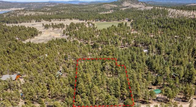 Photo of 14 Co Rd 2134, Alpine, AZ 85920