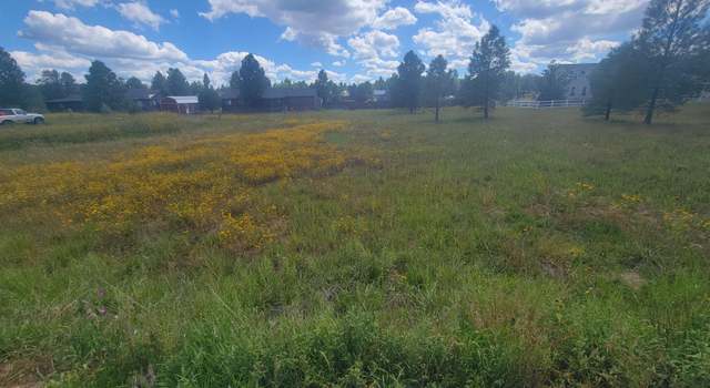 Photo of 2277 Meadow Ln, Overgaard, AZ 85933