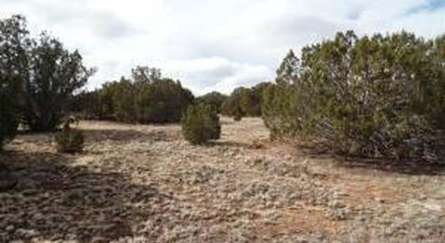 Photo of 23 CR 8021, Concho, AZ 85924