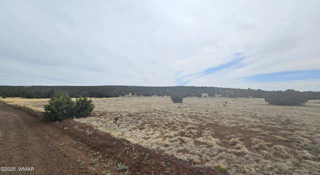 Photo of TBD CR 8065, Concho, AZ 85924