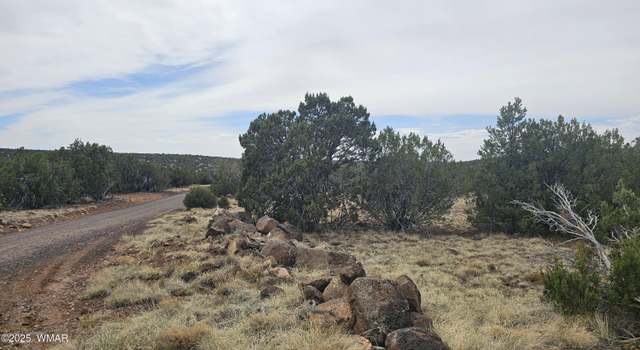 Photo of TBD CR 8065, Concho, AZ 85924