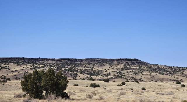 Photo of 43 CR N4019, St. Johns, AZ 85936